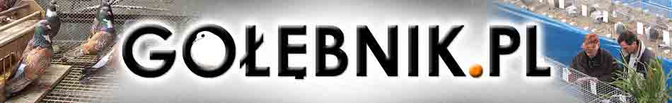 golebnik_baner.jpg